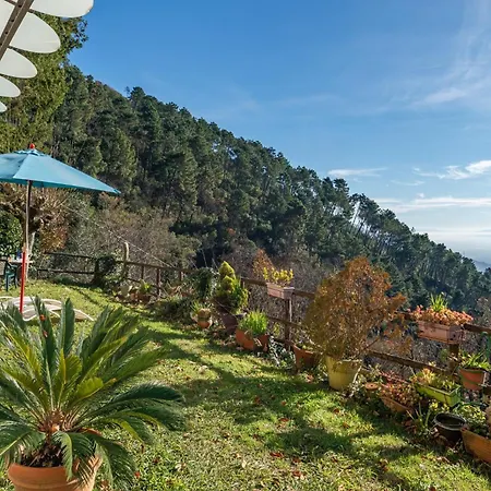 Seaview House Dal Colle Di Ripa